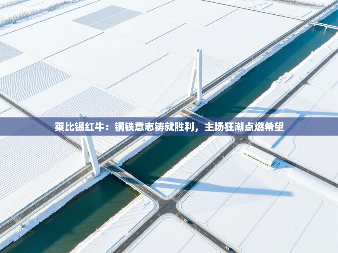 莱比锡红牛：钢铁意志铸就胜利，主场狂潮点燃希望  第1张