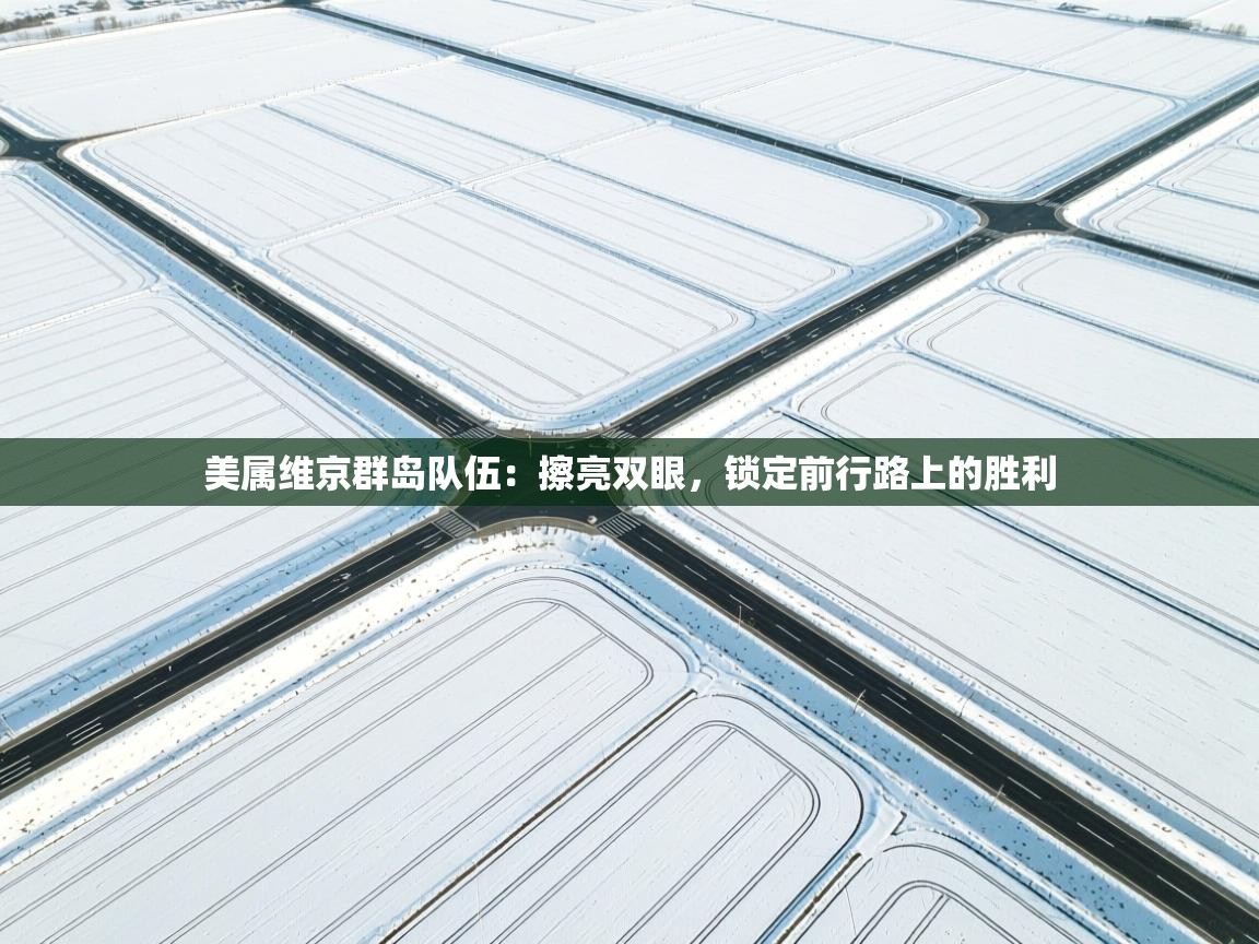 美属维京群岛队伍：擦亮双眼，锁定前行路上的胜利  第1张