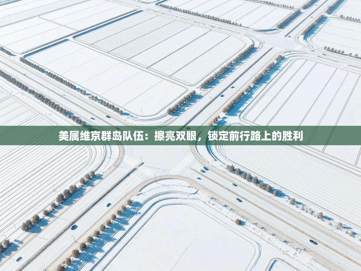 美属维京群岛队伍：擦亮双眼，锁定前行路上的胜利  第2张