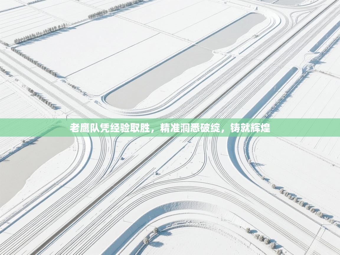 老鹰队凭经验取胜，精准洞悉破绽，铸就辉煌  第1张