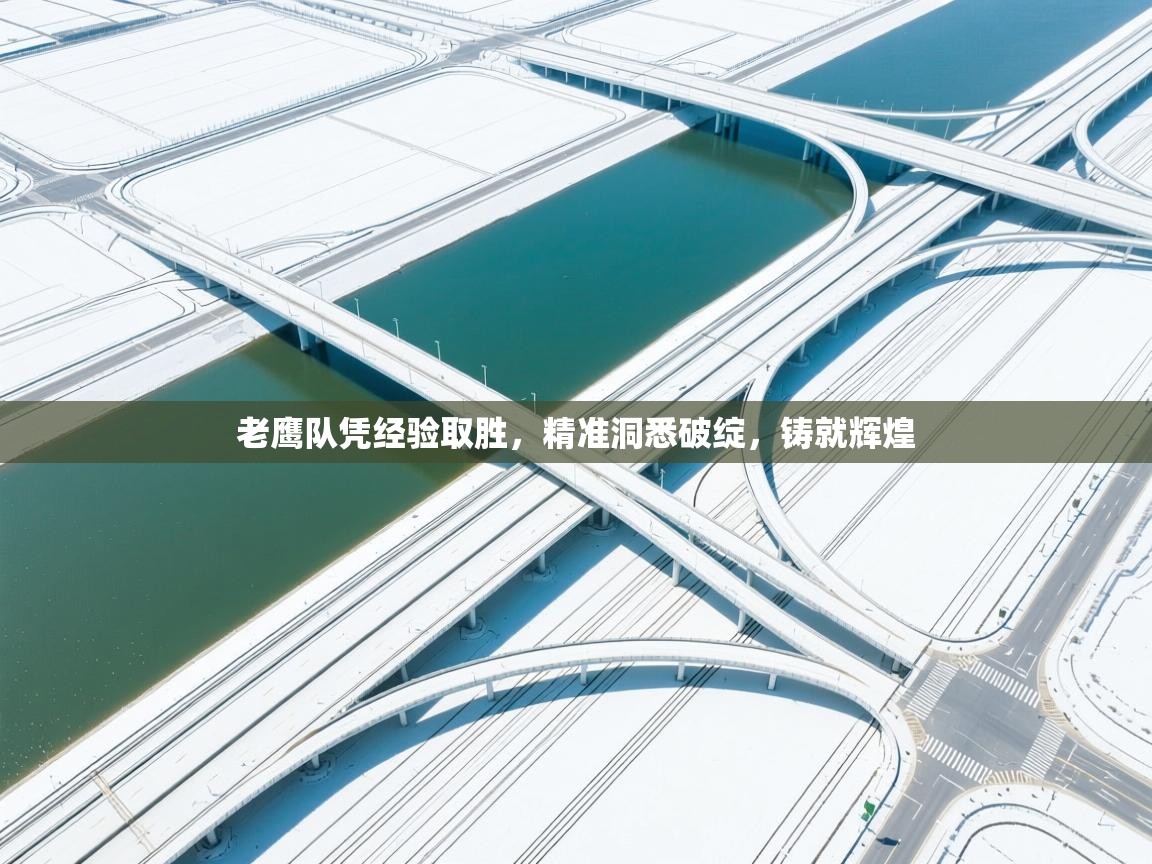 老鹰队凭经验取胜，精准洞悉破绽，铸就辉煌  第2张