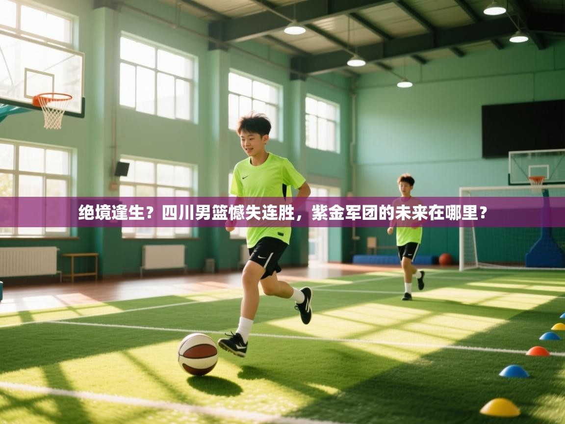 绝境逢生？四川男篮憾失连胜，紫金军团的未来在哪里？  第2张